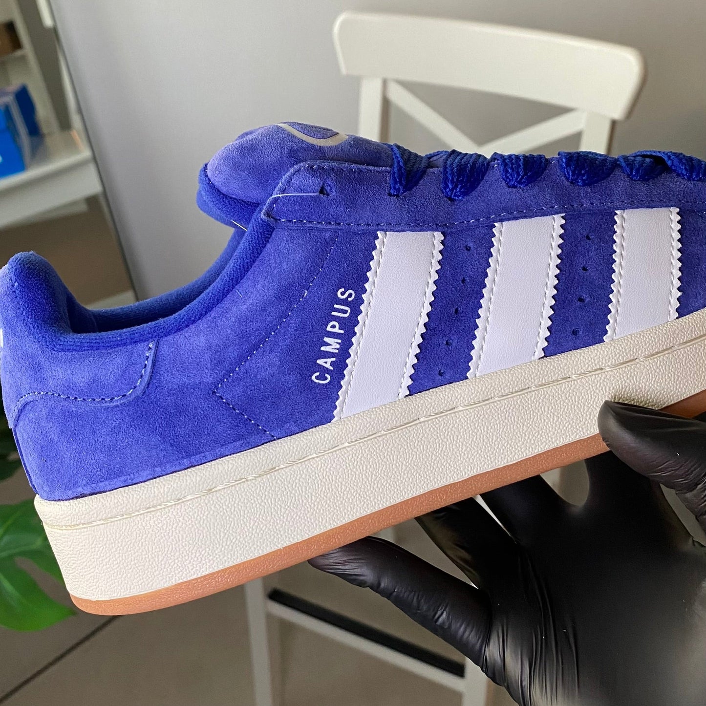 Adidas Campus 00s “Lucid Blue”